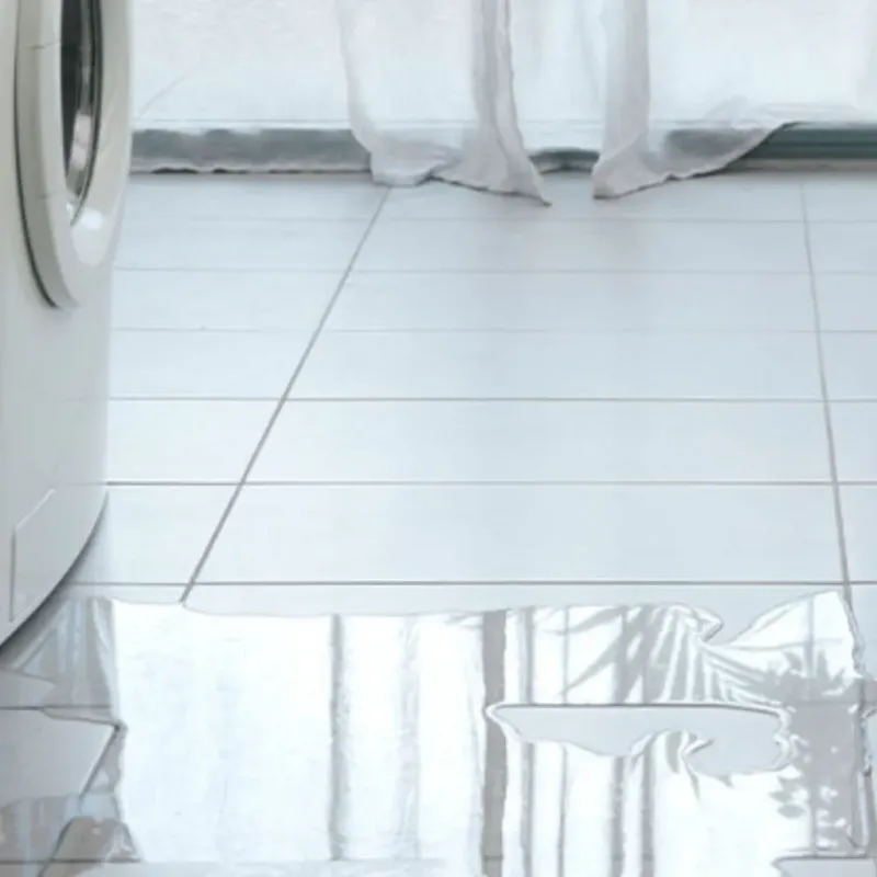 Appliance Leak Cleanup in Vestavia Hills, AL