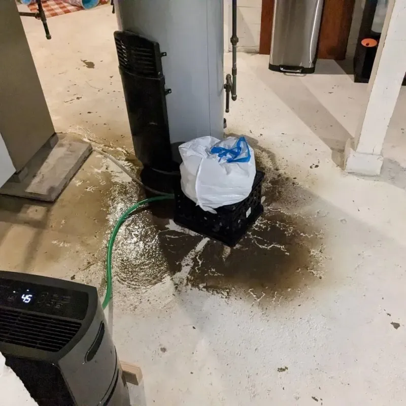 Sewage Backup Cleanup Service in Vestavia Hills, AL